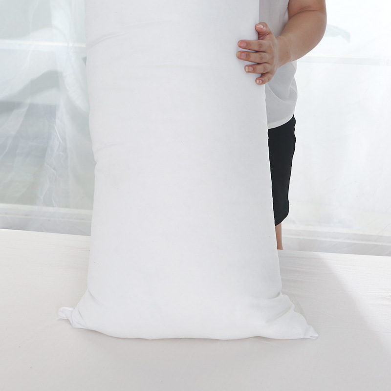 50x160cm Dakimakura Core Huggi - Bolster Pillow Long 评论和价格