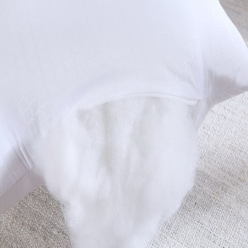 50x160cm Dakimakura Core Huggi - Bolster Pillow Long 评论和价格